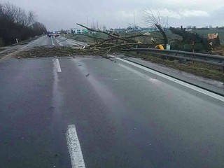 Na plynové potrubie spadol strom, spôsobuje únik plynu. Cesta je uzavretá