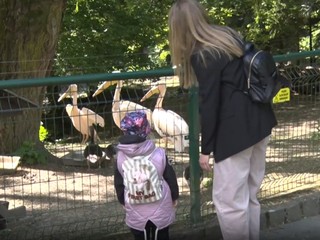 Bojnická ZOO ožila: Po dlhej pauze kvôli opatreniam privítala prvých návštevníkov
