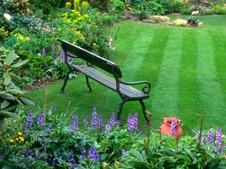 Kosenie zabíja hmyz, ten je podstatný pre vtáctvo. Správne kosenie je mozaikové