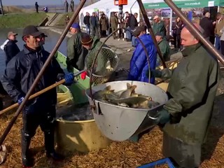 Slováci prestali jesť ryby. Pellegrini nechce zákaz predaja živých kaprov