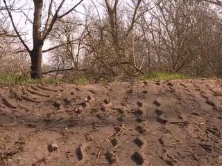 Obavy oznamovateľa sa potvrdili. V tejto obci splaškové vody vylievajú do lesného porastu