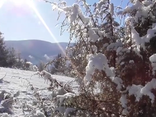 VIDEO: Chcete sa vyhnúť zástupom turistov? Poteší vás Kráľova hoľa