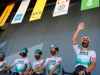 Sagan a cyklámen. Čo majú spoločné?