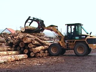 Nová aplikácia na sledovanie ťažby dreva: Ťažbu nezastaví, ale ľudia si môžu pozrieť v akom rozsahu miznú stromy