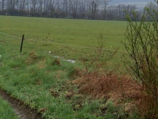 Obyvatelia majú strach. Vlky sa stanú chránenými a u nich v dedine trhajú iné zvieratá