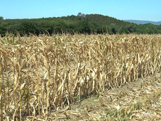 EÚ má prvú legislatívu o pôde. Vytvorí sa zoznam kontaminovaných pôd