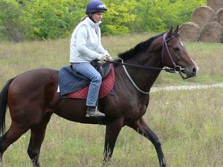 Overdose sa vrátil tradične - víťazstvom štart-cieľ