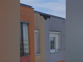 V petržalskom paneláku sa usadili tisícky včiel. Zasahovať museli hasiči
