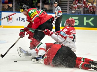 Domácich Dánov nabudila zmena brankárov. V zápase porazili Maďarsko 2:8