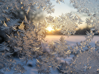 Servác, Pankrác a Bonifác v týchto dňoch úradovali. Zistili sme, koľko Slovákov nosí tieto mená