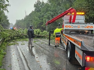 Ničivá búrka na severe Slovenska: Padali stromy a vypukla energetická kalamita