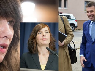 Za nepriznaný majetok majú zaplatiť pokutu Nicholsonová, Remišová aj Sólymos