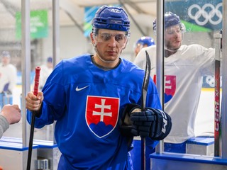 Martin FEHÉRVÁRY si na Nemcov verí