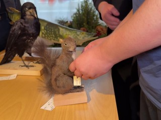 Deti so zrakovým postihnutím môžu spoznávať tatranskú prírodu dotykom exponátov