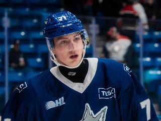 NEMEC päťbodový, CHOVAN s dvoma gólmi a asistenciou