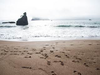 Voda vyplavila na breh obrovské, neidentifikované monštrum: Nikto nevie, čo to je!