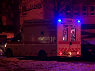 Silvestrovská noc je skúškou pre záchranárov, hasičov a zvieratá