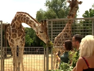 Bratislavská ZOO má smelé plány. Chce byť kontaktnejšou