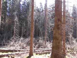 Chatári nechcú veľmi dvíhať ceny. Ľudia majú podľa nich menej peňazí