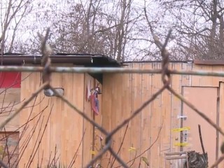 Brutálny čin Slováka v Čechách: Svoju partnerku polial benzínom a zapálil