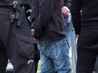 Chcel zarobiť a tak predával slonie kly. Mladíka chytili policajti pred nákupným centrom