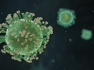 Ak by septembrové obmedzenia pokračovali aj v ďalších mesiacoch, ohrozilo by to fungovanie profihokeja