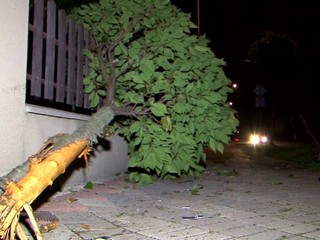 Takmer dve a pol promile nafúkal vodič, ktorý nezvládol jazdu na rovnom úsekom cesty