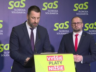 SaS: Slovensko stavia diaľnice výrazne drahšie ako susedia, môže prísť o veľké príležitosti