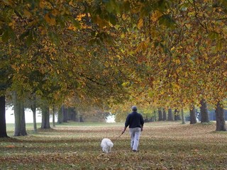 V Topoľčanoch zaútočil bezdomovec na muža. Venčil psa pes vôdzky