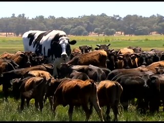 Vola Knickersa pred bitúnkom zachránil vzrast. Má výšku takmer dva metre
