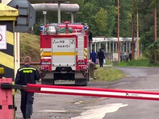 Niekto zakopal fľaštičky s neznámymi látkami do lesa. Armáda už pozná páchateľa