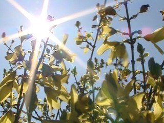 Počasie už naplno pripomína jar, ale ešte sa chystá výrazná zmena