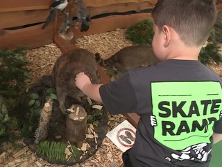 Krásy prírody a chutné poklady: Slovenský veľtrh cestovného ruchu a gastronómie