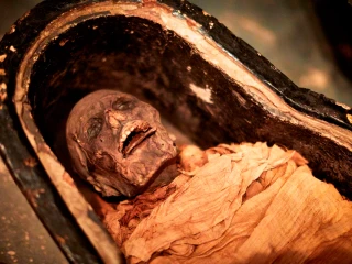 V stredovekej Európe jedli ľudia hrozné veci