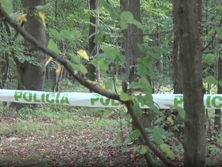 Vyčíňanie agresívneho muža v Trenčianskych Stankovciach: Polícia strieľala ostrými nábojmi
