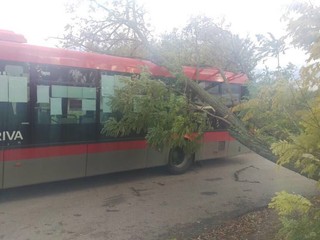 ONLINE: Popadané bilbordy aj stromy. Víchrica na Slovensku