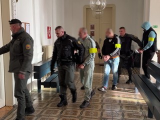 Najväčšia protidrogová akcia na Slovensku: Sudca obvineného z akcie Linea neprepustil