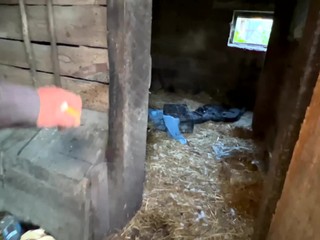 Štáb TV JOJ na Ukrajine: V dedinách oslobodených spod ruskej okupácie obyvatelia živoria v neľudských podmienkach
