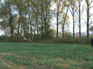 Policajti pátrajú po obetiach sériového vraha. Kopali nový hrob