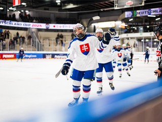 Nemecký pohár-ženy: Slovensko - Francúzsko 2:1