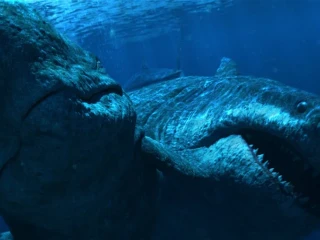 Na dne oceánu narazili na desivo morbídny nález