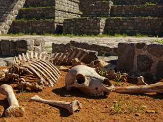 Niečo temné stálo za aztéckou zoo. Archeológovia majú stopy