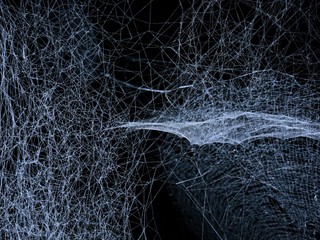 TOTO video vám dnes určite nedá spať: Vystrašilo už množstvo Slovákov!