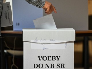 Politológ: Zmena voľby zo zahraničia by pomohla vládnym stranám