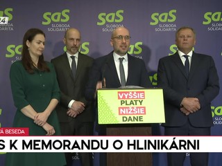 Tlačová beseda SaS k memorandu o hlinikárni