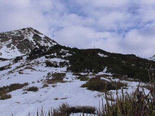 Na Deň hôr prišlo teplo: Žiarska dolina ponúkla jar namiesto zimy