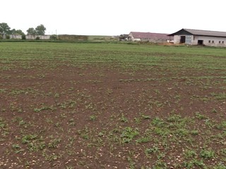 Časť malých farmárov je stále nespokojná so situáciu v slovenskom agro sektore, chcú do ulíc