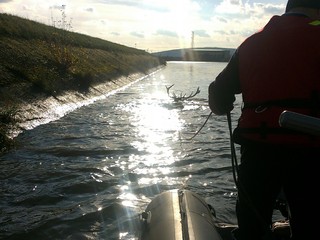 FOTO: Hasiči zachránili jeleňa uviaznutého v derivačnom kanáli Váhu