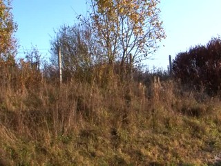 VIDEO: V Ilave zachraňovali diviaka. Celú noc bol zakliesnený v plote