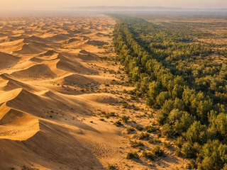 Čína postavila nový „Veľký múr“: Nie z kameňa, ale zo stromov